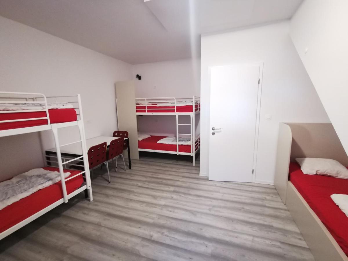 Single Bed 5-Bed Female Dormitory Room
